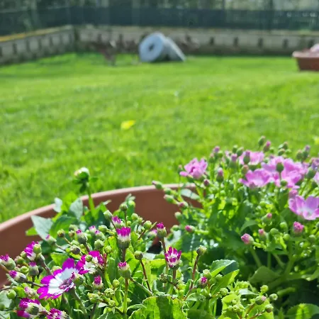 Bed & Breakfast Il Casale Nel Parco