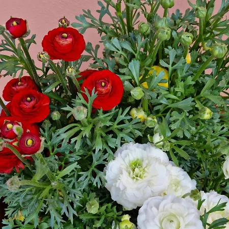 Bed & Breakfast Il Casale Nel Parco