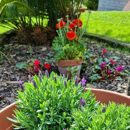 Bed & Breakfast Il Casale Nel Parco