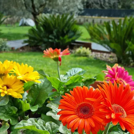 Il Casale Nel Parco * Rome