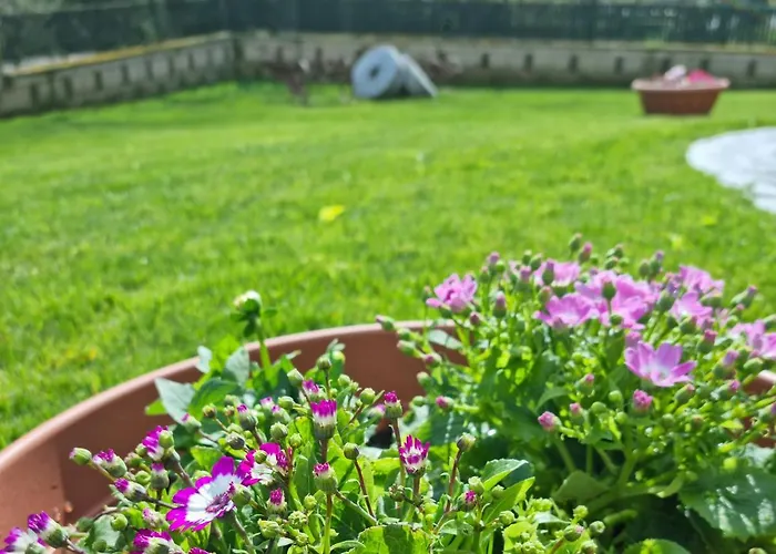 住宿加早餐酒店 Il Casale Nel Parco