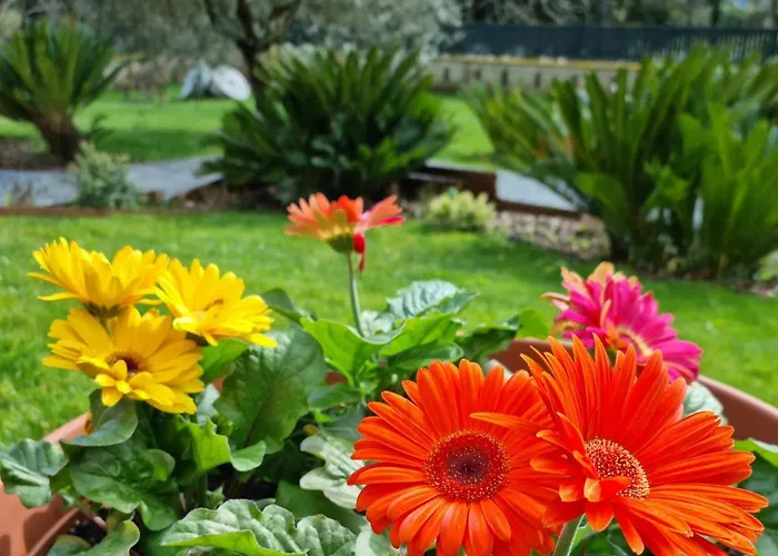 Il Casale Nel Parco 4* 罗马